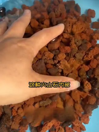 火山石鱼缸造景底砂装饰沙石头乌龟滤材铺底专用耐用火山岩颗粒