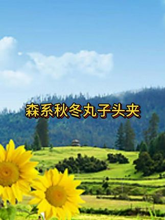 森系秋冬丸子头夹网红饰品女孩韩版简约气质马尾夹可爱红色甜美#头饰发饰 #抖音美好丰收节 #男士神仙单品 #在抖音入手的好东西 #无限回购的宝藏单品