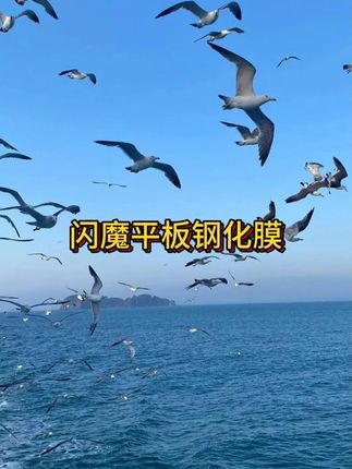 防刮耐磨防指纹,最关键贴起来真的很方便。 #闪魔钢化膜 #ipad钢化膜#平板钢化膜#平板膜#无限回购的宝藏单品#在抖音入手的好东西
