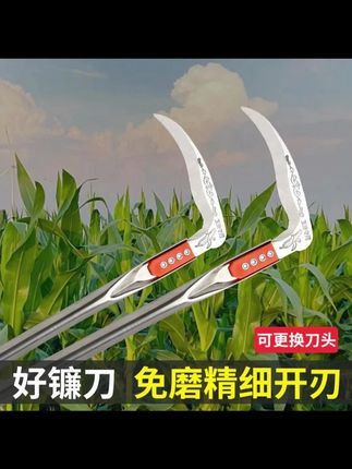 割玉米镰刀,锋利耐用,加长手柄干活不累,割谷子稻子小麦也嘎嘎好用#镰刀#割玉米镰刀