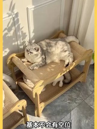 多惬意啊#猫爬架 #猫抓板 #萌宠好物