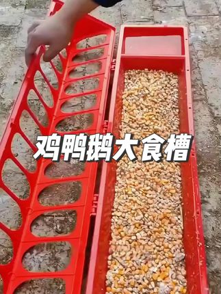 #鸡鸭鹅养殖 #鸡鸭鹅喂食 #结实耐用 #家禽养殖