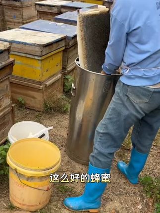 增强体质就吃它!揭秘高品质蜂蜜从采集到加工的全过程 #纯天然无添加 #大自然的搬运工 #勤劳的小蜜蜂