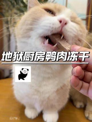 地狱厨房新品重磅来袭 鸭大胸原切冻干 还能磨磨猫咪小黄牙 #萌宠好物 #养猫人 #萌宠出道计划 #地狱厨房 #地狱厨房鸭胸肉冻干