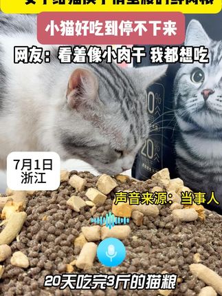 这也太香了吧! #猫粮 #猫粮推荐 #俏蛮腰猫粮 #萌宠好物 #养猫人