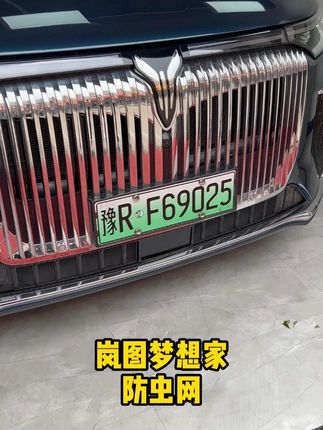 岚图梦想家 防虫网 表面的不锈钢网格,既不影响原车通风散热,可以有效防止蚊虫树叶,采用卡扣式安装。#汽车用品#岚图梦想家