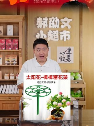 郝邵文推荐太阳花造型支架棒棒糖支架蟹爪兰爬藤植物固定花架防倒伏支撑杆子#太阳花造型花架 #蟹爪兰爬藤支架 #植物固定花架 #防倒伏支撑杆 #郝劭文