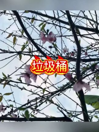 车载垃圾桶多功能汽车内可折叠车用伸缩收缩桶车上置物收纳装饰品#车载好物 #车载垃圾桶 #垃圾桶 #收纳桶 #折叠垃圾桶