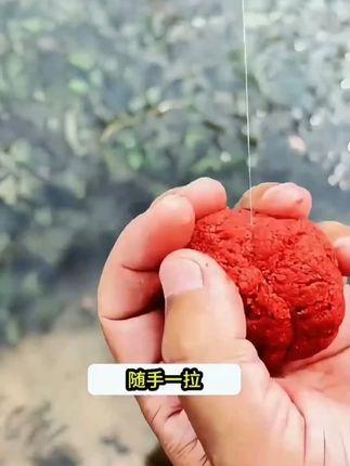 北禾低盐高蛋白赤尾青溪流鱼饵适用雅鱼溪石斑马口溪哥鲜腥饵料 #鱼饵 #爆护饵料 #饵料