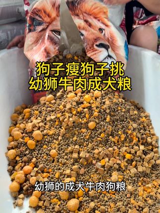 狗狗吃的好才能长得壮#狗粮推荐 #源头工厂
