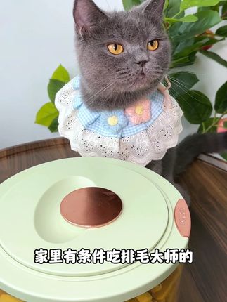 没想到仅仅就给我家猫喂了几颗这个排毛大师冻干,隔天真就把毛球排出来了!#猫咪排毛 #排毛冻干 #萌宠好物 #猫咪冻干 #猫咪冻干零食推荐