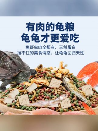 龟粮乌龟专用饲料巴西龟草龟陆龟水龟通用虾干鱼干大袋龟粮饲料#龟粮 #乌龟饲料 #通用龟粮 #虾干鱼干龟粮 #养龟好物