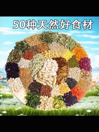 好仁卡仓鼠粮食金丝熊侏儒营养主粮德系全价冻干粮零食专用益生菌#仓鼠粮食 #冻干粮 #益生菌 #金丝熊 #侏儒仓鼠