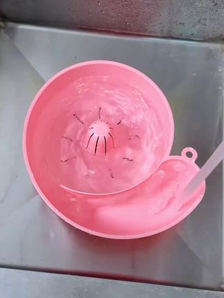蜗牛自动清洗篮 有了它,以后洗水果可就太方便了,自动洗干净还能自动沥水,#沥水篮 #厨房好物 #创意设计 #懒人必备