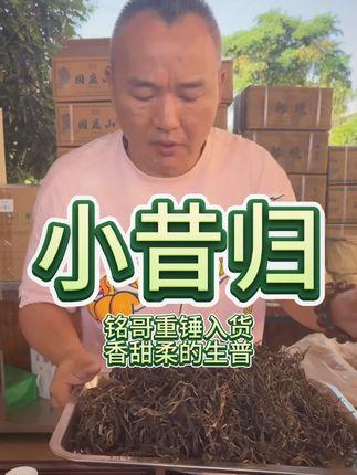 小昔归 铭哥重锤入货 香甜柔的生普#召唤茶友 #每日一茶 #茶文化 #养生 #80后