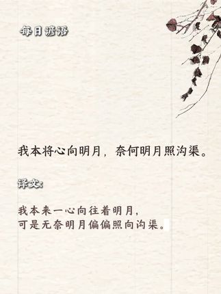 我本将心向明月,奈何明月照沟渠。 此句以 “我心向明月” 写赤诚,“明月照沟渠” 道失落,对比间满含怅惘。将真挚付出遇冷的遗憾,凝于月光与沟渠的意象中,语浅情浓。道尽人心错付的无奈,是对情感错位的精准描摹,至今仍是抒发失意的经典之语,感染力极强。 #谚语 #历史 #杜康 #国学文化 #中华文化