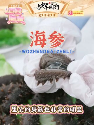 海参#海参养殖 #海参 #海参加工 #海参好吃的做法