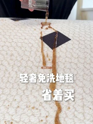 免打理客厅大地毯一毯三用 #客厅地毯怎么搭配 #客厅地毯推荐 #客厅地毯 #地毯 #软装地毯