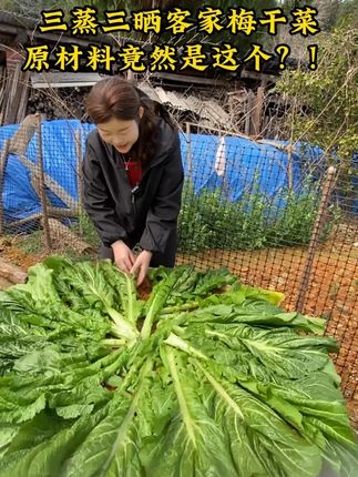 这种原味无盐的梅干菜香味特别好,吃过的人都念念不忘,做梅菜扣肉特别下饭#梅干菜 #扣肉 #好吃到停不下来 #值得推荐