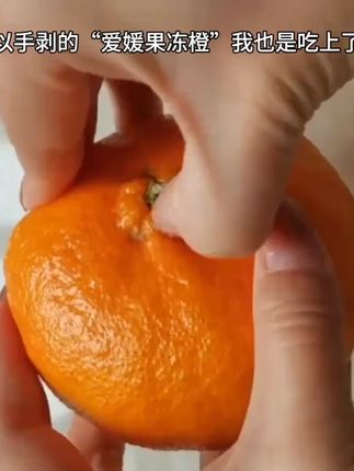 吃着像果冻一样细腻的爱媛果冻橙!皮薄肉厚清甜多汁果香浓郁,还没有籽!直接吃或者吸着吃都巨好吃!#爱媛38号果冻橙 #橙子 #应季水果#好甜好甜 #一口下去超满足