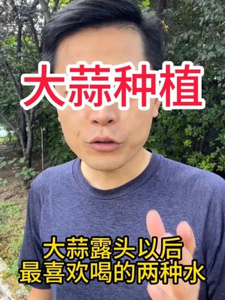 大蒜露头以后最喜欢喝的两种水 #大蒜 #大蒜种植 #大蒜管理 #大蒜种植技术