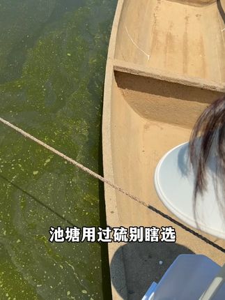 #水产养殖 #鱼虾蟹养殖 #过硫 #三农 #水产人