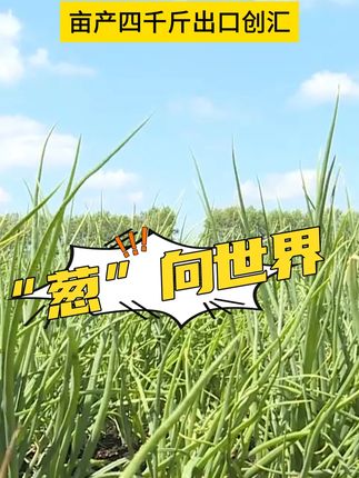 #穿搭 #显瘦穿搭 #小个子穿搭 #裤子 #夏季穿搭