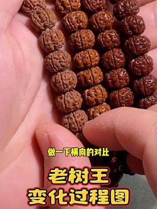 原生态老树王小金刚平细单圈手持勿里达产区小金刚菩提手串 老树王小金刚,各个阶段变化过程图,文玩爱好者们有需要可以关注参考下。 喜欢这种品质的文玩爱好者们,可以入手一串。福利款。#随时随地标记一下 #文玩爱好者 #老树王 #小金刚菩提 #手持手串