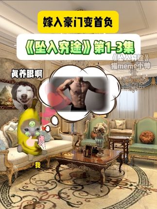 《坠入穷途》1-3集,奉子成婚嫁豪门,一觉醒来破产了#猫meme #猫meme小剧场 #续集 #合集 #猫meme故事