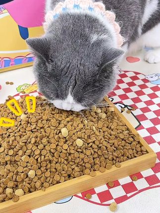 谁不知道猫吃烘焙粮好啊,满满鲜肉还拍1发13#猫粮 #新手养猫 #猫粮测评 #科学养宠攻略 #猫粮推荐