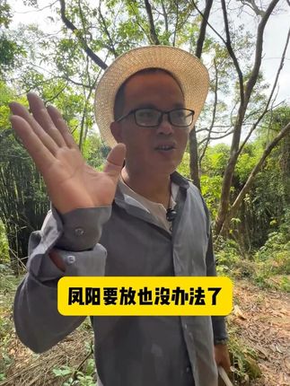 潮汕凤阳方,对人有功,对己有益,加油把凤阳方传出去!! #凤阳秘方 #凤阳方 #潮汕话 #潮汕 #潮汕凤阳方