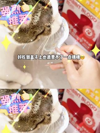好吃的多功能主食歪歪碗!一碗剩下一堆保健品的 #浅爪 #日常分享