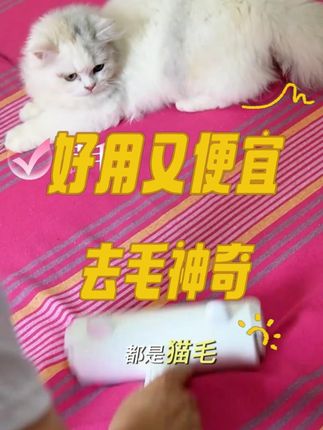 不管养不养宠 家里都可以备一把 #清洁神器 #刷毛器 #萌宠好物