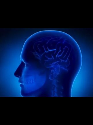 要是你也想找个轻松的法子,把统计变成职场硬核技能,这本我真心推荐