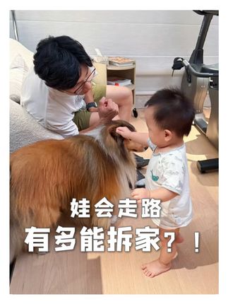 孩子一旦学会走路,家里越来越多东西惨遭“毒手”!#精力旺盛的宝宝 #根本停不下来 #糕家米糕 #看着你一天天长大 #自己玩的不亦乐乎