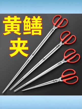 泥鳅黄鳝夹鳝鱼夹不锈钢钳子防滑赶海神器抓螃蟹龙虾工具火钳垃圾 #泥鳅黄鳝夹 #不锈钢材质 #防滑设计 #赶海神器 #抓蟹龙虾工具
