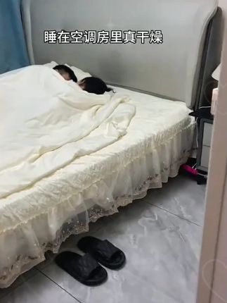 小狗加湿器大容量氛围灯喷雾静音办公室空调房
