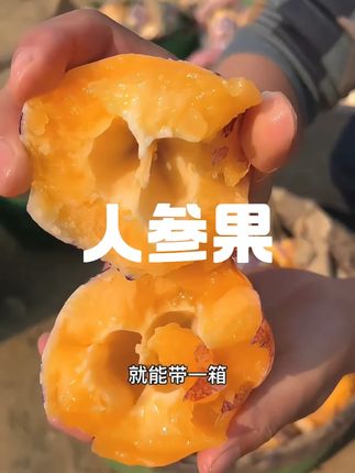 #沙漠人参果#人参果#人参果你们喜欢吃么#高原人参果的营养价值#快来一起尝个鲜