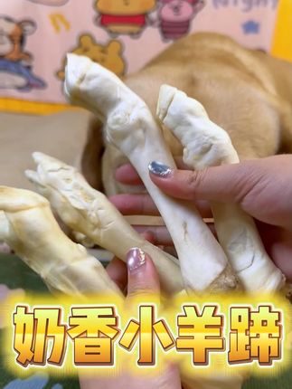 狗狗磨牙洁齿奶香小羊蹄,耐磨耐咬,多斤多肉#狗狗日常  #小狗狗能有什么坏心思   #狗狗磨牙   #狗狗磨牙棒推荐   #拉布拉多