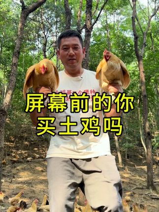 超多福利都在直播间#生态散养土鸡 #我的乡村生活 #抖音助农 #生态放养