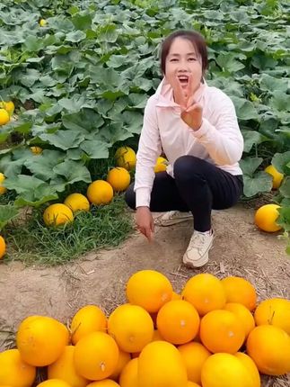 #应季水果 #民勤蜜瓜 #新鲜水果