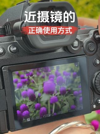 近距离拍摄对焦不清晰怎么办? #长焦镜头 #微距 #微距摄影 #近摄镜 #拍花卉