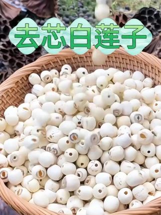 荷忆湖南正宗去芯白莲子500g莲子干货饱满清香粉糯易煮新莲子干货#荷忆湖南正宗 #去芯白莲子#干货 #饱满清香粉糯 #易煮