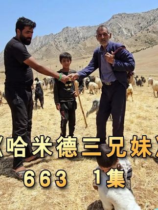 哈米德爷爷竟不愿离开,然而孩子却这样想的