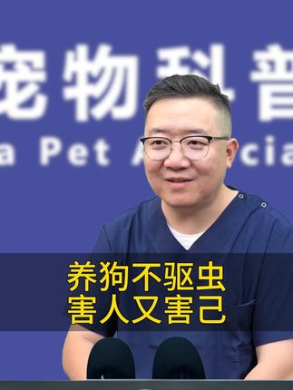 养狗不驱虫,害人又害己 #养狗经验分享 #萌宠好物 #养狗小知识 #科学养宠 #宠物驱虫