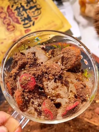 高压锅一样的天气,来一口酸梅汤别提有多爽了,边吃边嚼真的太满足了!!#好喝不贵 #果肉酸梅汤 #酸梅粉 #仙女都在喝什么 #夏日必备