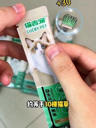 猫草和猫条的强强联合 软毛润肠 猫猫爱鼠了 #猫草 #猫条 #猫草猫条 #猫咪吐毛球怎么办 #养猫人