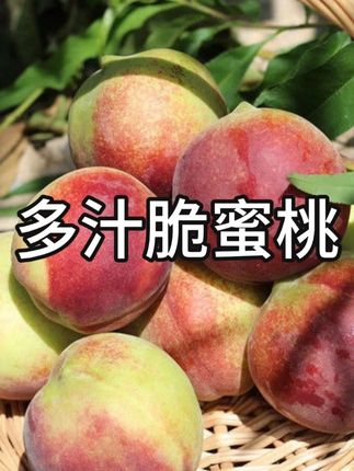 天呐!怎么会有这么好吃的青皮脆蜜桃,就是这个红不软脆蜜桃,真的巨好吃,又脆又甜,嘎嘣嘎嘣脆,唇齿留香,回味无穷,桃香味特别浓郁,放不软真的放不软,爱吃脆桃的一定要尝尝!#脆桃 #快来一起尝个鲜 #应季水果 #脆蜜桃 #桃子熟了
