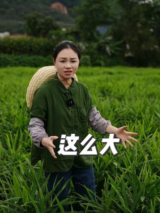 哎呀,姜茶被认可特别的开心