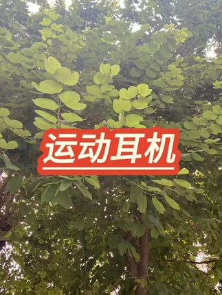 开放式运动耳机久戴不痛超长续航 #运动耳机 #蓝牙耳机 #续航神器